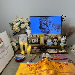 宠物家长客户见证