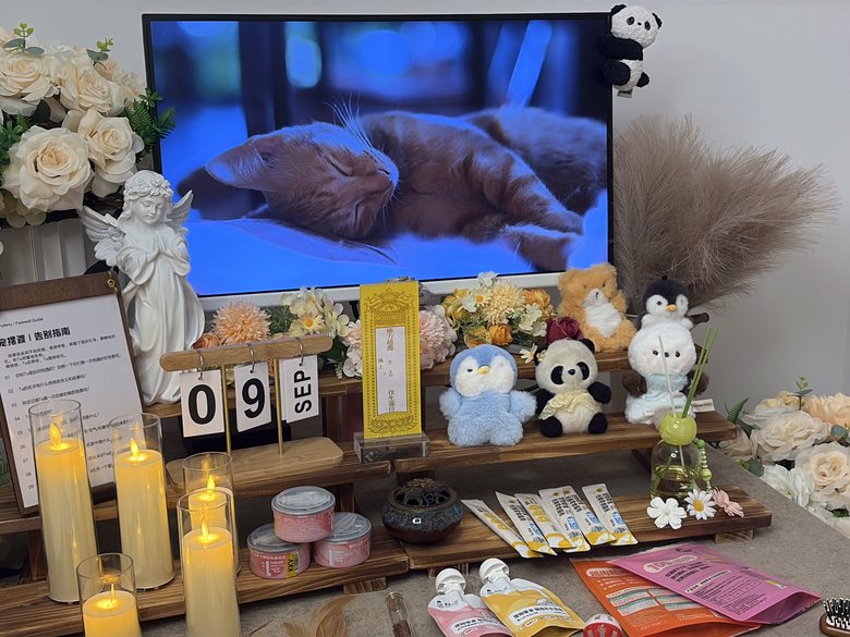 宠物爪印留念与纪念品定制