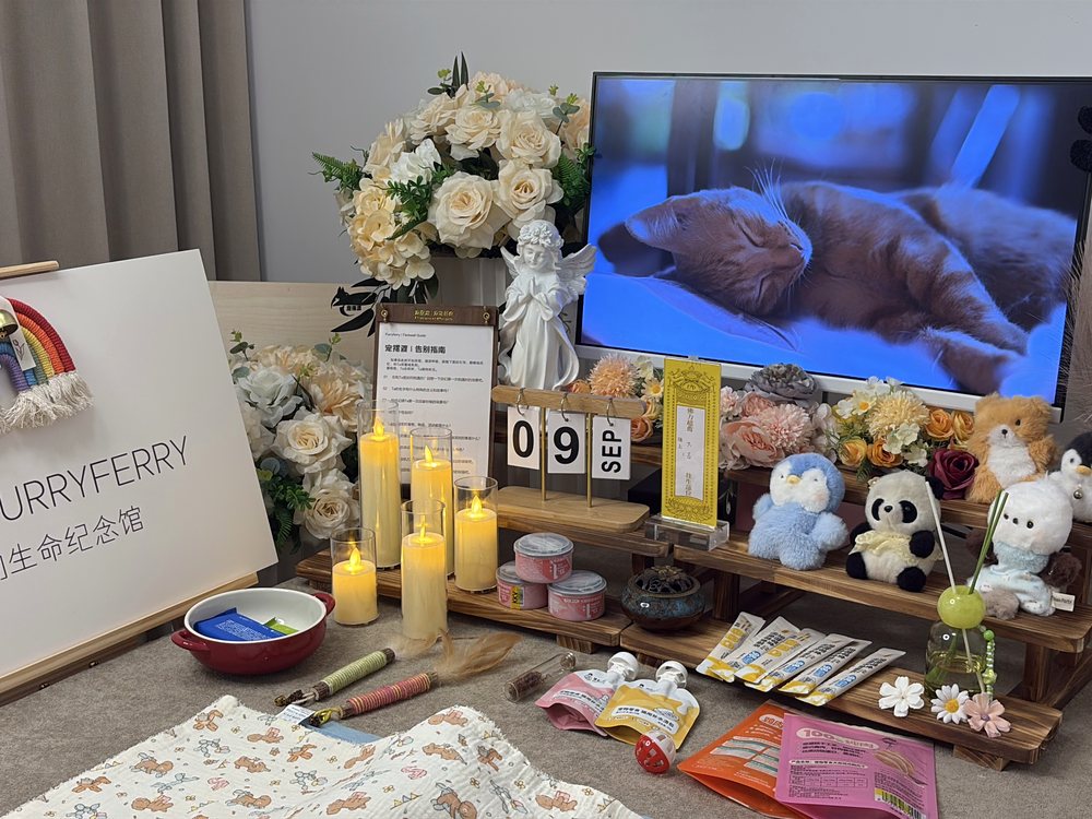 宠物骨灰交付与纪念品